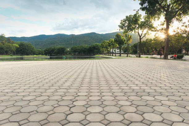 Best Driveway Pavers Near Me  in Lockport, IL